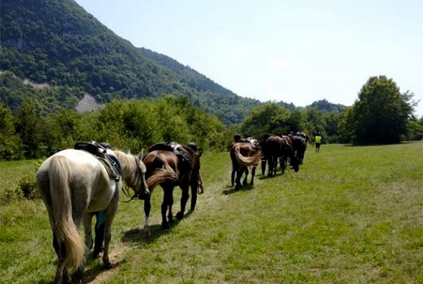 Vacances-passion - Centre équestre Cheval Bugey - Ceyzériat - Ain
