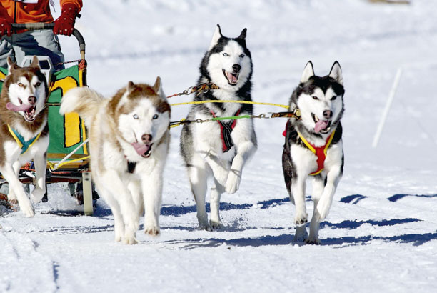 Vacances-passion - La Maison Blanche - Albiez le Vieux - Savoie