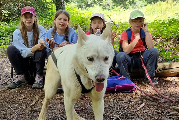 Vacances pour tous - colonies de vacances  - Burdignes - Cani-rando