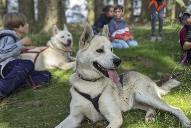 Vacances-passion - Centre Burdignes - Burdignes - Loire