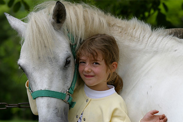 Vacances-passion - Centre équestre Cheval Bugey - Ceyzériat - Ain