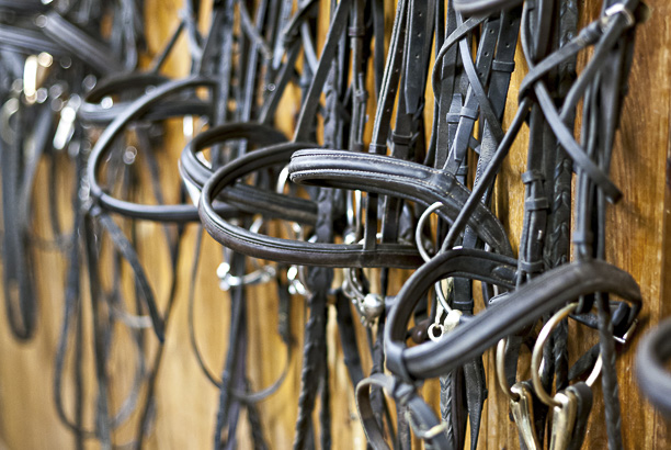 Vacances-passion - Les écuries de l'Odon - Baron-sur-Odon - Calvados