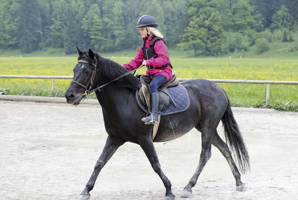 Vacances-passion - Les écuries de l'Odon - Baron-sur-Odon - Calvados