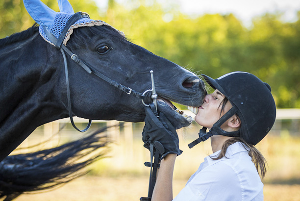 Vacances-passion - Domaine équestre de Chevillon - Charny-Orée-de-Puisaye - Yonne