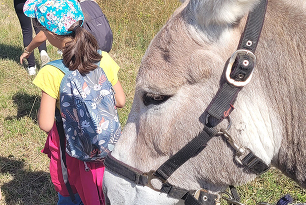Vacances-passion - Domaine de Lascroux - Puycelsi - Tarn