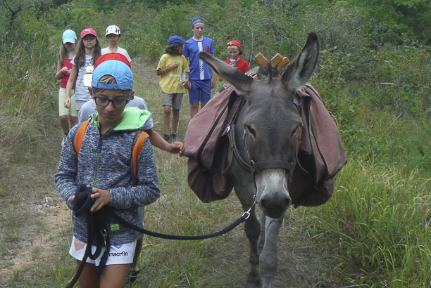 Vacances-passion - Cap Sireuil Village - Les Eyzies de Tayac - Dordogne