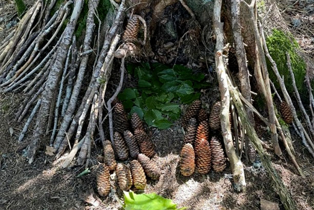 Vacances-passion - Les Galinottes - Le Lioran - Cantal