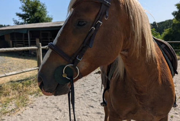 Vacances-passion - Centre Gérard Chavaroche - Saint-Front - Haute-Loire