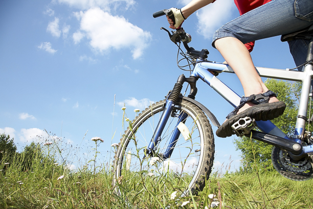 Vacances-passion - Les Jonquilles - Xonrupt-Longemer - Vosges