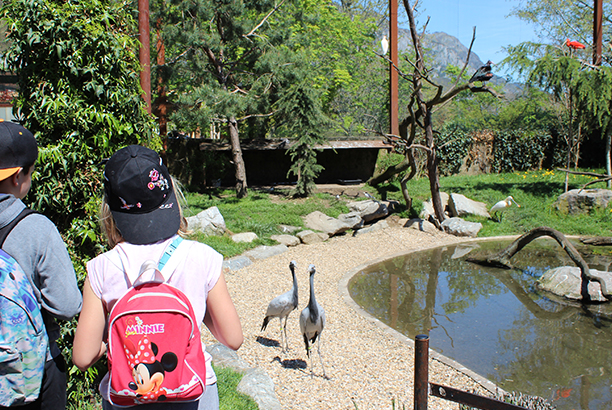 Vacances-passion - Centre d’Artigues - Artigues - Hautes-Pyrénées