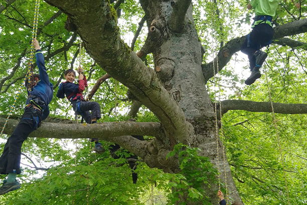 Vacances-passion - Centre Couleur Nature - Lus-la-Croix-Haute - Drôme