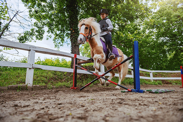 Vacances-passion - Cap Sireuil Village - Les Eyzies de Tayac - Dordogne