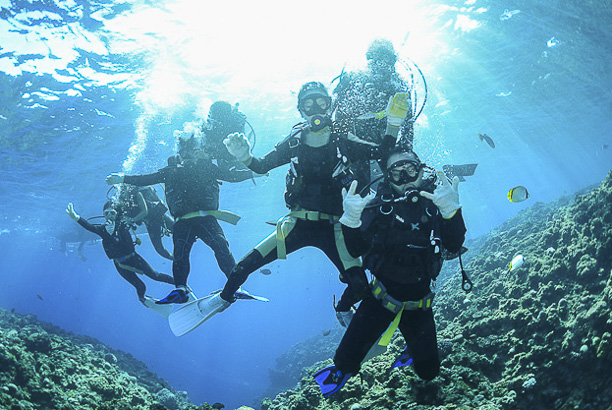 Vacances pour tous - colonies de vacances  - Port Leucate - Palmes & beach